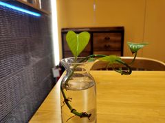 -炖物24章·顺时轻养茶(黄龙店)