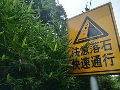 -重庆彩云湖湿地公园