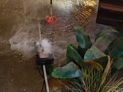 -印巷里主题餐厅(马鞍山店)