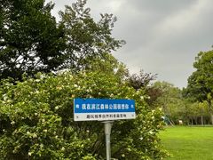 -上海滨江森林公园