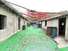 -东湖小天池真人CS彩弹野战基地