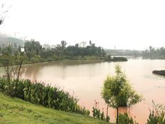 -枫香湖儿童公园