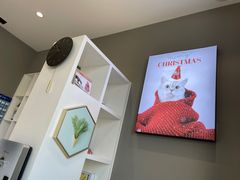 -关爱宠物医院·猫科中心·消化科(滨湖万达分院)