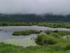 -腾冲北海湿地