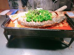 -夯鱼烤鱼·尔滨地标美食(国展店)
