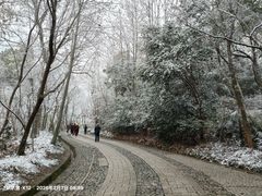 -紫金山山顶公园