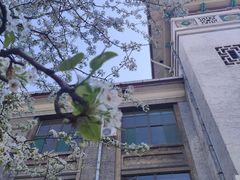 -山东师范大学(千佛山校区)