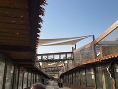 -合肥野生动物园