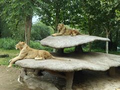 -北京野生动物园