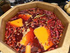 -苏州金科大酒店