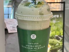 -茉酸奶(春熙路店)