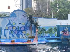 -深圳野生动物园