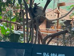 -香港海洋公园