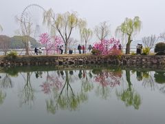 -无锡蠡湖国家湿地公园-蠡园