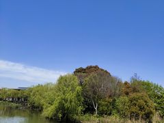 -新江湾城公园