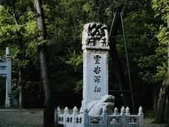 -灵谷景区