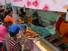 -海上花岛玫瑰园采摘