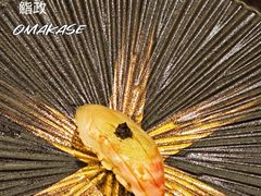 -鮨政·Omakase(港汇恒隆广场店)