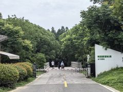-同里国家湿地公园
