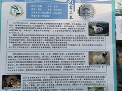 -青藏高原野生动物园