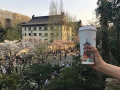 -鸡鸣赐茶(鸡鸣寺路店)