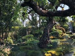 -Chom Cafe and Restaurant