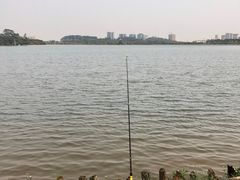 -鹤之洲湿地公园