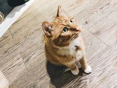 -小时光咖啡馆(开森度假森林店)