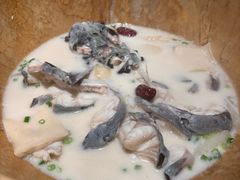 -老福耶小草帽石锅鱼(奥体店)