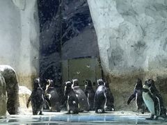 -北戴河圣蓝海洋公园