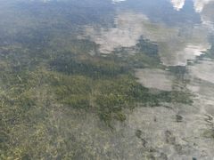 -郭师傅冰稀饭(人民路店)