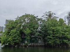 -荔湾湖公园