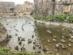 -海南热带野生动植物园
