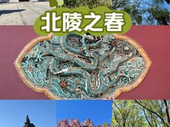 -北陵公园