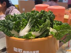 -龍歌自助小火锅(李沧丽达店)