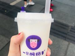 -一只酸奶牛(八一路店)