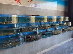 -蓝珊甄选海鲜自助·火锅大排档(近阿那亚店)