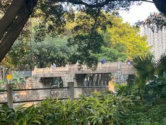 -晓港公园