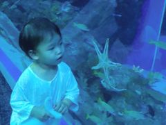 -成都浩海立方海洋公园