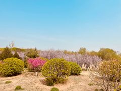 -永定河休闲森林公园