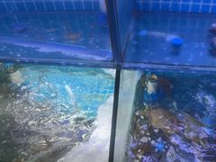 -面道赞宁海海鲜面(迎凤街店)