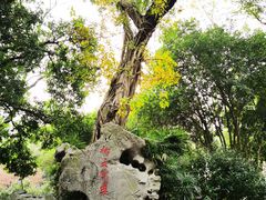 -柳侯公园