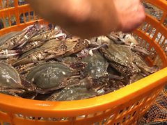 -高佳庄·舟山海鲜(海景旗舰店)