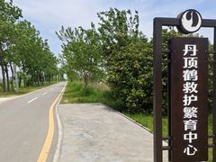 -盐城丹顶鹤湿地生态旅游区