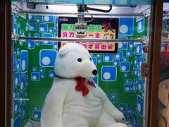 -PAWTOY爪e玩偶店(天兴罗斯福店)