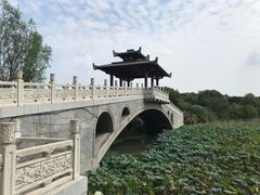 -东湖落雁景区