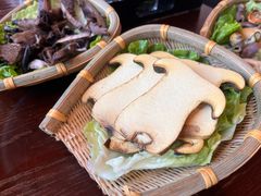 -滇野云南野生菌餐厅(陕西南路店)