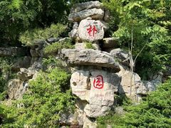 -朴园