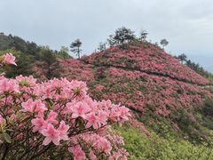 -木兰云雾山