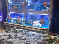 水产区-徐记海鲜(梅溪新天地店)